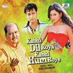 Kabhi Dil Roya Kabhi Hum Roye - White Noise Collectives Song Download